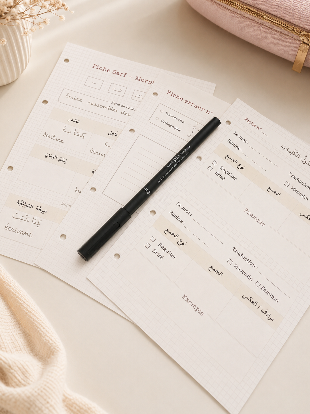 Organisation et progression